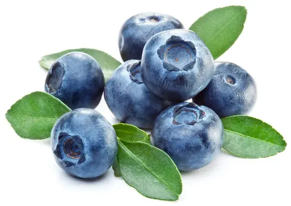 Depositphotos 6870299 stock photo blueberries with leaves